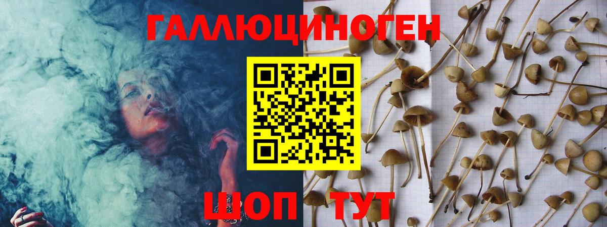Галлюциногенные грибы мицелий Долгопрудный