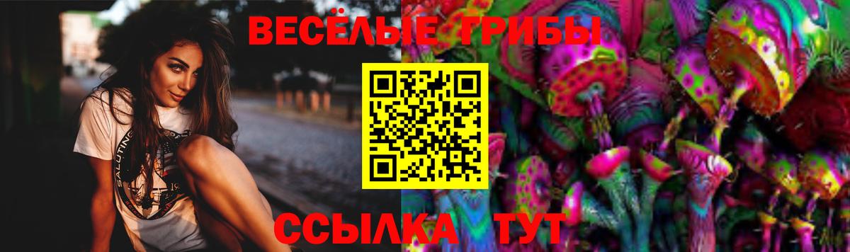 Галлюциногенные грибы Cubensis  Галлюциногенные грибы мицелий  Долгопрудный  Вход с VPN 